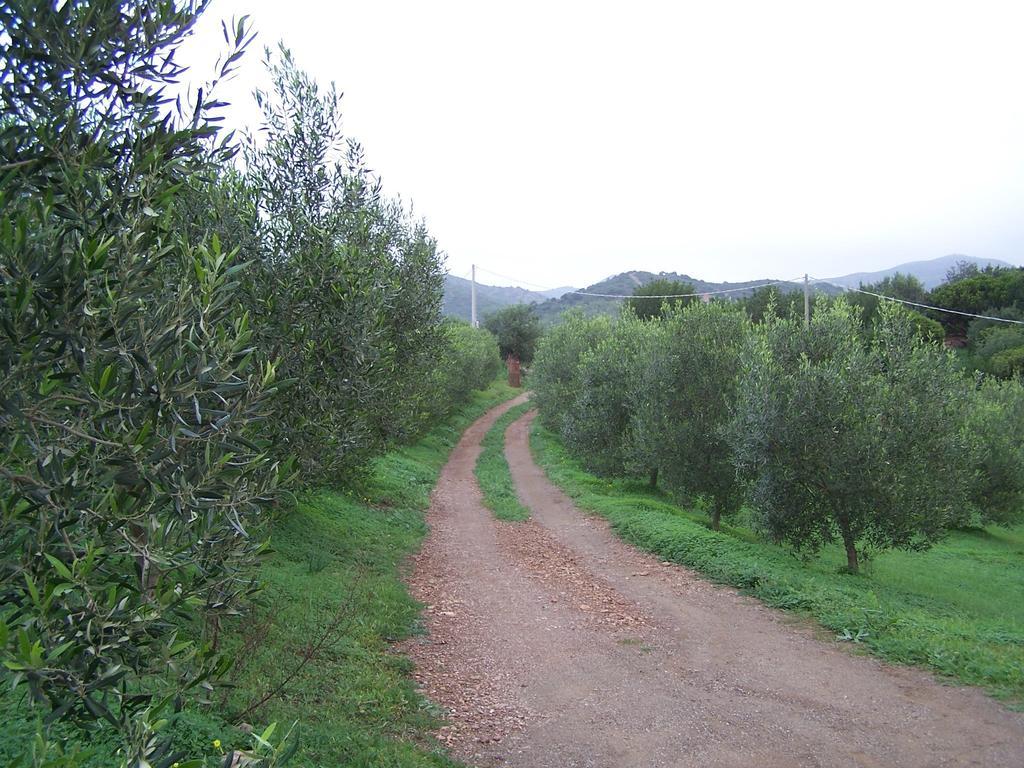 Nurazzolas Villaputzu Exterior photo
